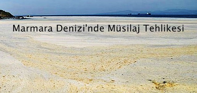 Marmara Denizi’nde Müsilaj Tehlikesi