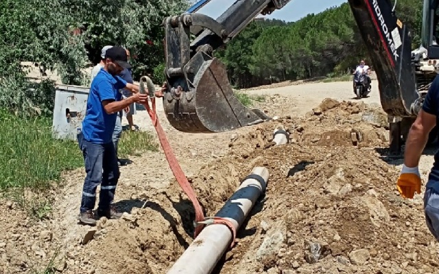 Çamlık Bölgesi Düzenleniyor