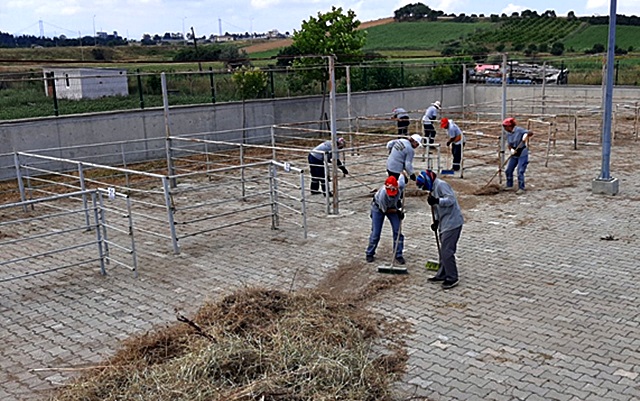 Kurban Bayramı Hazırlığı