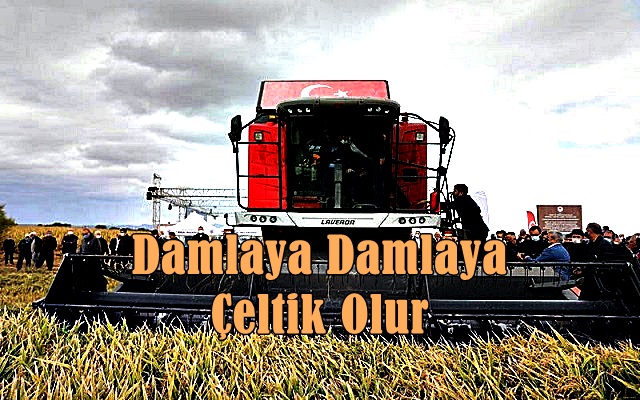 Damlaya Damlaya Çeltik Olur