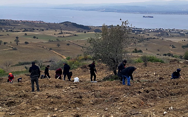 Meşe Palamutları Toprakla Buluştu