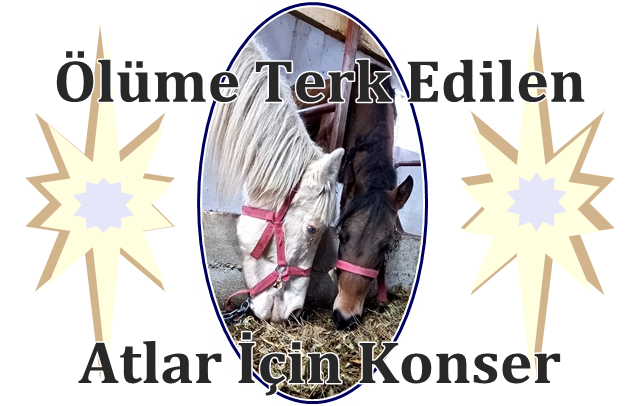 Ölüme Terk Edilen Atlar İçin Konser