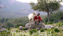 “Turna Misali” 41. İstanbul Film Festivali’nde