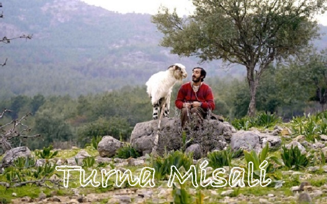 “Turna Misali” 41. İstanbul Film Festivali’nde