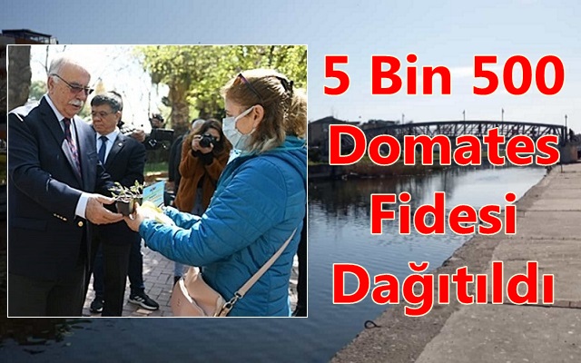 5 Bin 500 Domates Fidesi Dağıtıldı