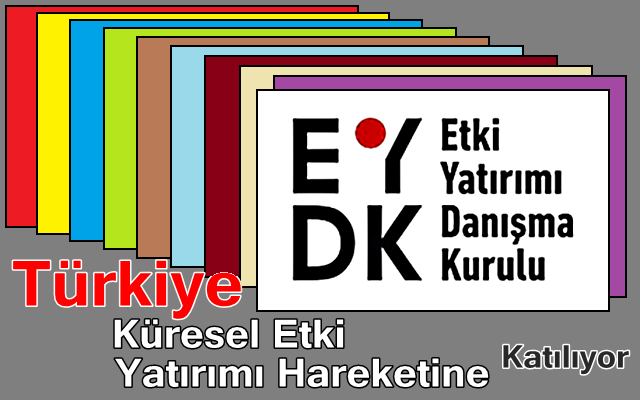 Türkiye Küresel Etki Yatırımı Hareketine Katılıyor