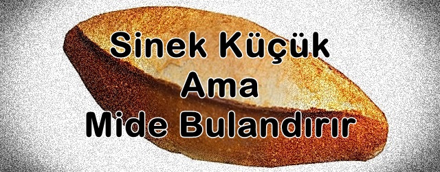 Sinek Küçük Ama Mide Bulandırır