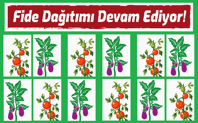 Fide Dağıtımı Devam Ediyor