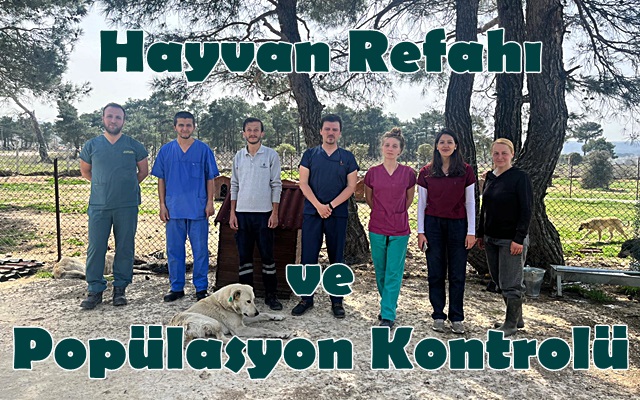 Hayvan Refahı ve Popülasyon Kontrolü