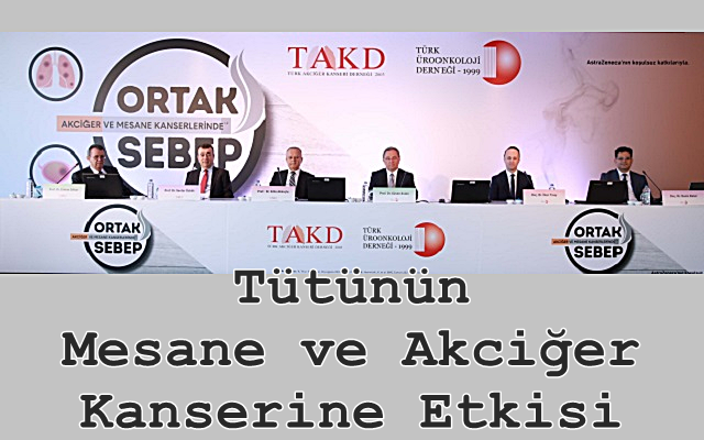 Tütünün Mesane ve Akciğer Kanserine Etkisi