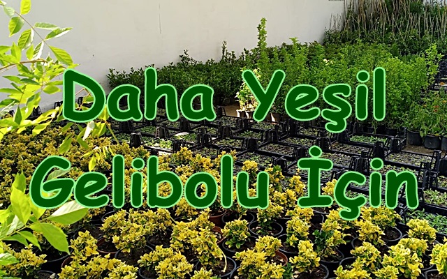 Daha Yeşil Gelibolu İçin