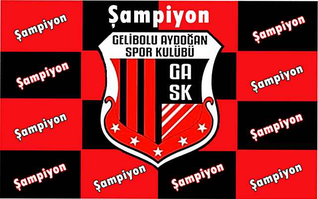 Gelibolu Aydoğanspor Şampiyon