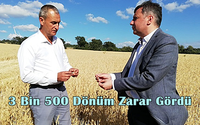 3 Bin 500 Dönüm Zarar Gördü