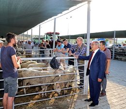 Başkan Özacar’dan Kurban Pazarına Ziyaret