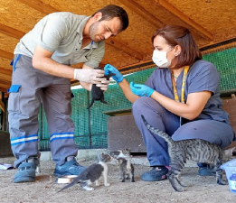 Kedi Köyü Sakinlerine Sağlık Kontrolü