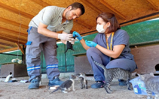 Kedi Köyü Sakinlerine Sağlık Kontrolü