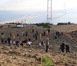 Milli Ağaçlandırma Günü’nde Fidan Dikildi