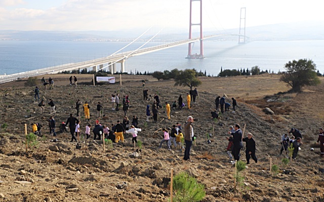 Milli Ağaçlandırma Günü’nde Fidan Dikildi