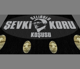 Gelibolu Şevki Koru Koşusu