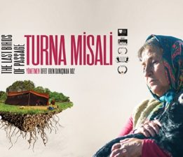 “Turna Misali” Anchorage Film Festivali’nde