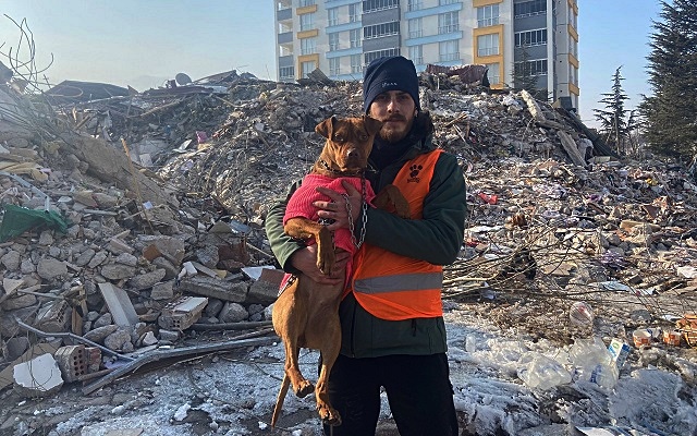 Deprem Bölgesindeki Hayvanlara Yem Desteği İçin Çağrı