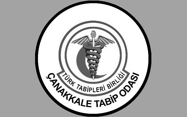 Çanakkale Tabip Odası Dr. Ayşe Güneş Basın Açıklaması