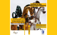“Çanakkale’nin Atları” Seramik Müzesinde Sergilenecek