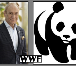 WWF-Türkiye’den “Yeşil İyileşme” Çağrısı