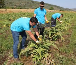 Tarımsal Kalkınma Çalışmaları Devam Ediyor