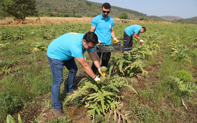 Tarımsal Kalkınma Çalışmaları Devam Ediyor