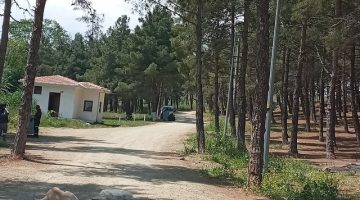 Çamlık Piknik Alanı Sezona Hazırlanıyor