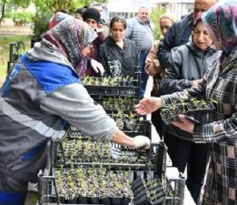 Yerel Tohum Fideleri Dağıtıldı