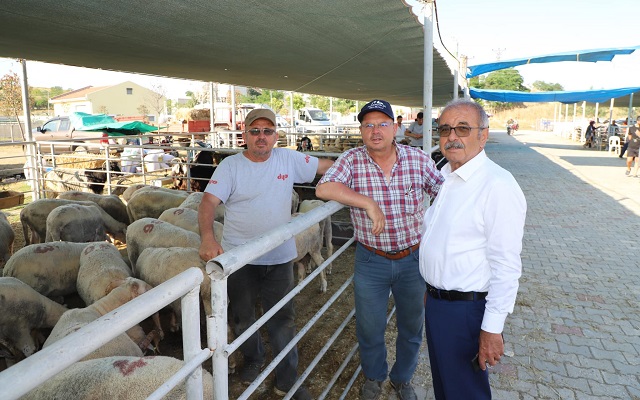 Kurbanlıklar Yerini Aldı