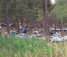 Cemevi Derneği Geleneksel Pikniği Yapıldı