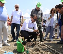 Yağlık Zeytin Fidanları Toprakla Buluştu