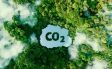 Karbon Vergisi Çevreci Şirketlerin Rekabet Gücünü Artıracak