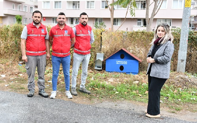 Sokak Hayvanlarına Yeni Kulübeler Hazırlanıyor