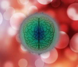 Beyin Pili Hangi Hastalıkların Tedavisinde Kullanılır?