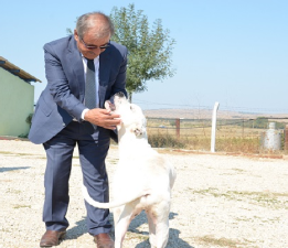 Başkan Özacar’dan Kamuoyuna Bilgilendirme