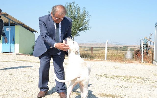 Başkan Özacar’dan Kamuoyuna Bilgilendirme