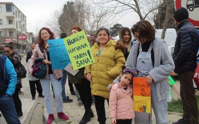 Gökçeadalı Hayvanseverler Eylem Yaptı