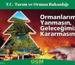 Ormanlarımız Yanmasın, Geleceğimiz Kararmasın!