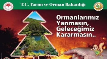 Ormanlarımız Yanmasın, Geleceğimiz Kararmasın!