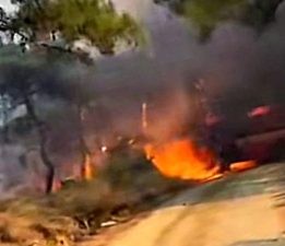 Çanakkale’deki Orman Yangını Devam Ediyor
