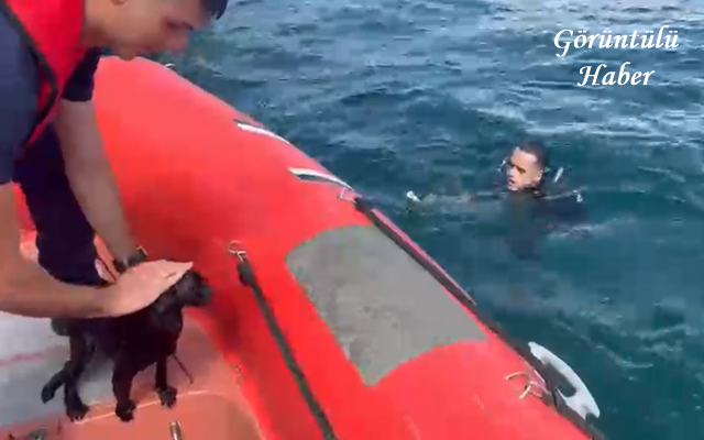Mendirekte Mahsur Kalan Kedi Kurtarıldı