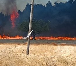 Çanakkale Valiliği’nden Yangın Açıklaması