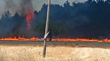 Çanakkale Valiliği’nden Yangın Açıklaması