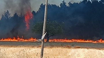 Çanakkale Valiliği’nden Yangın Açıklaması