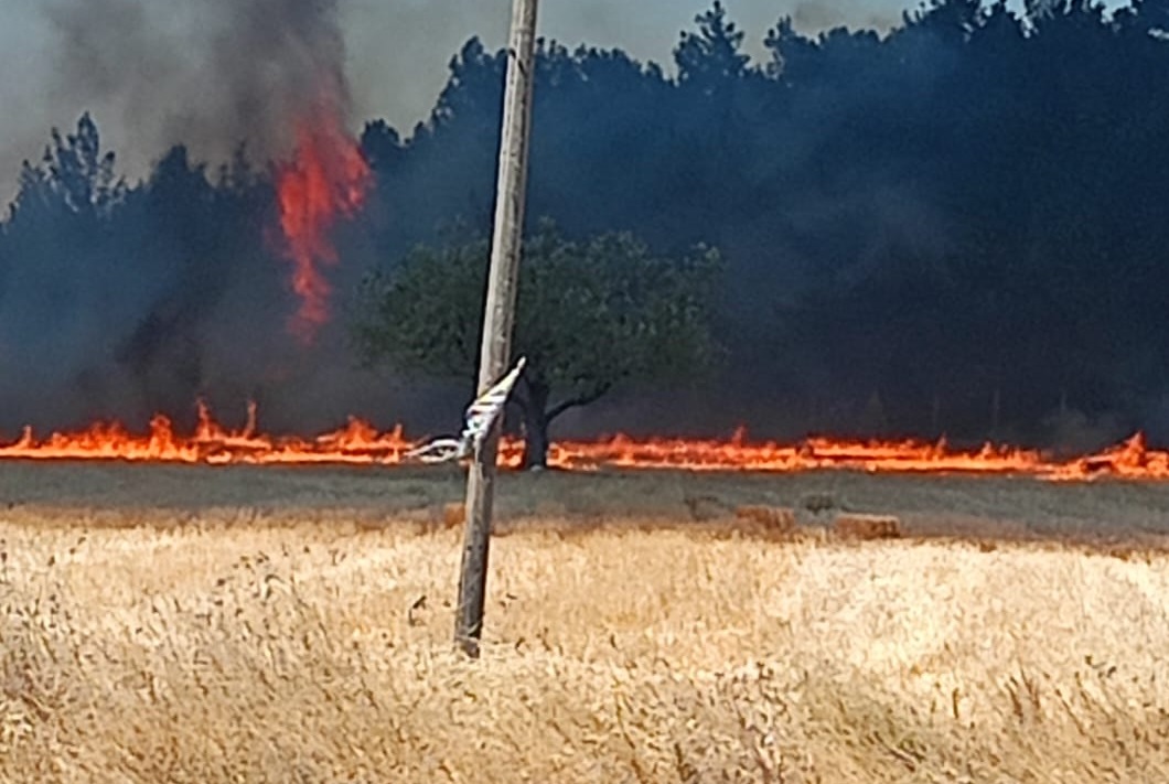 Çanakkale Valiliği’nden Yangın Açıklaması