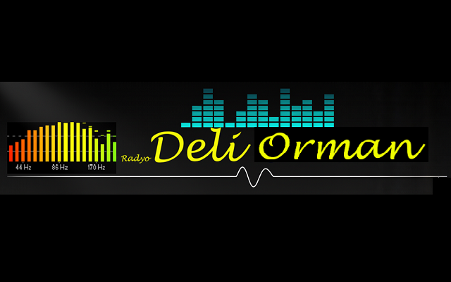 Radyo Deli Orman Rumeli’nin Radyosu